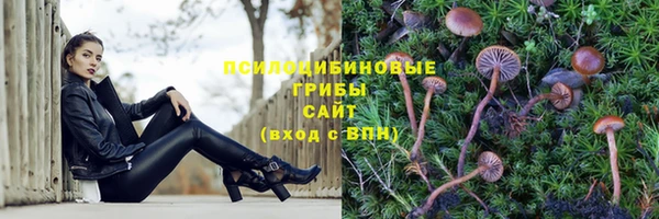 стафф Баксан